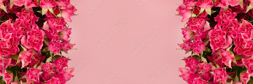 Lush summer pink tiny spray roses as frame on soft light pastel pink background, top view, copy space. Spring flowers banner for website, advertising, poster, card, flyer.