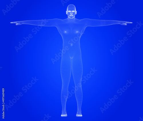Beautiful naked man poses. male Body. 3d wireframe vector.