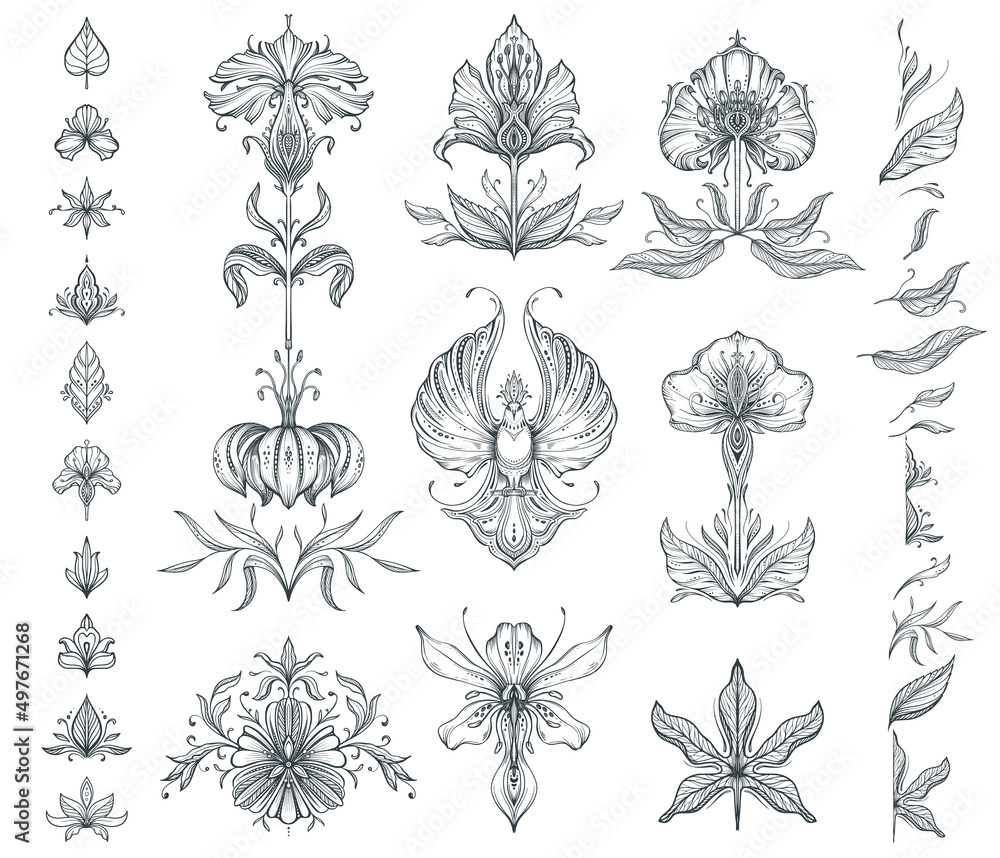 Vector collection of hand drawn floral elements, flowers and leaves.