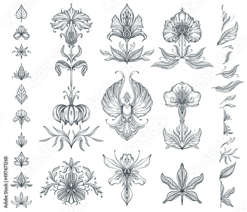 Vector collection of hand drawn floral elements, flowers and leaves.
