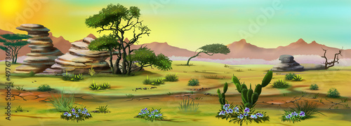 Early morning in the African savannah 02