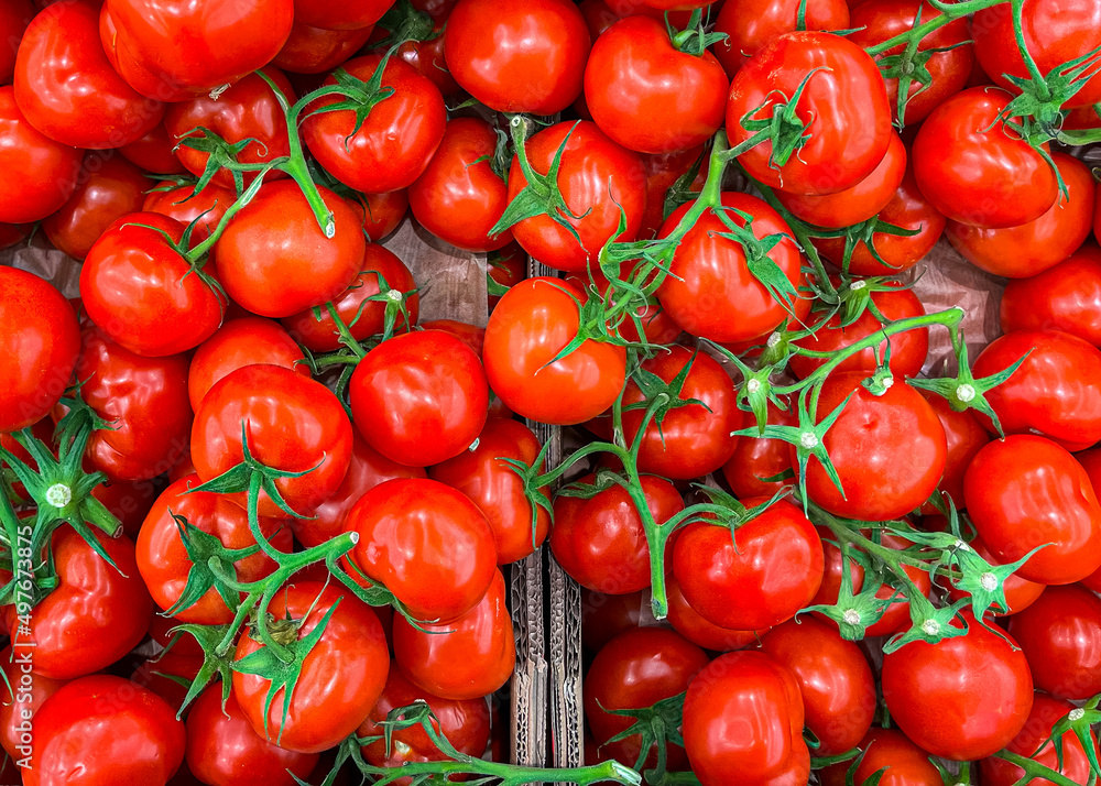 tomatoes on a green branch cherry tomato fruits on the counter of the market store healthy meal food diet snack on the table copy space food background rustic top view keto or paleo diet veggie vegan tomatoes on a green branch cherry tomato fruits on the counter of the market store healthy meal food diet snack on the table copy space food background rustic top view keto or paleo diet veggie vegan