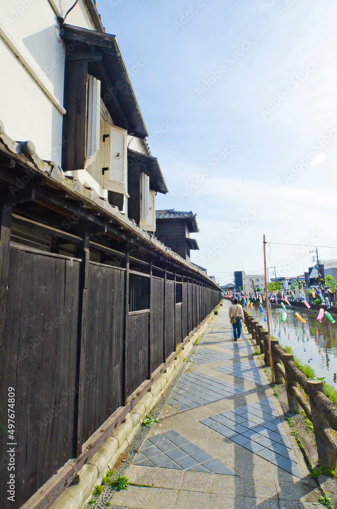 The Japanese Carp Fish Flags at The storehouses along the shore of the Uzumagawa River in Tochigi town.The Japanese letters means The History and Legend of Togichi town. 