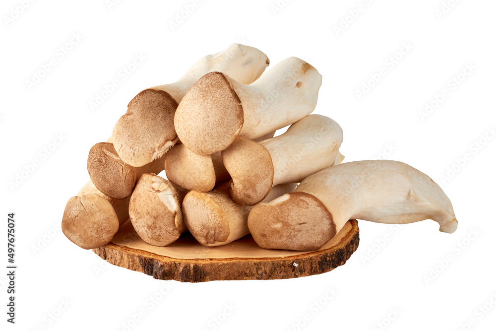 Large piles of eringi mushrooms (Pleurotus eryngii ) stacked isolated on a white background. Large piles of eringi mushrooms (Pleurotus eryngii ) stacked isolated on a white background.