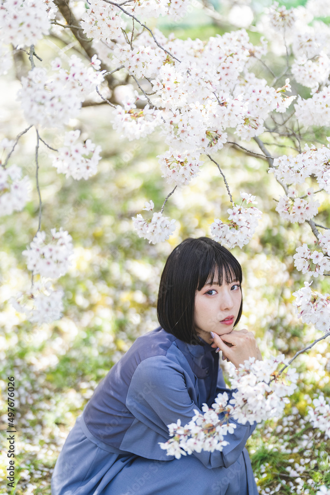 春の公園で満開の桜を見る女性