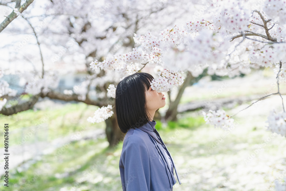 桜満開の中を散策する女性 桜満開の中を散策する女性