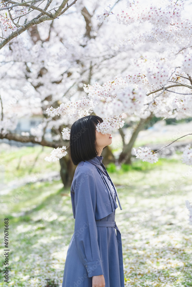 桜満開の中を散策する女性 桜満開の中を散策する女性