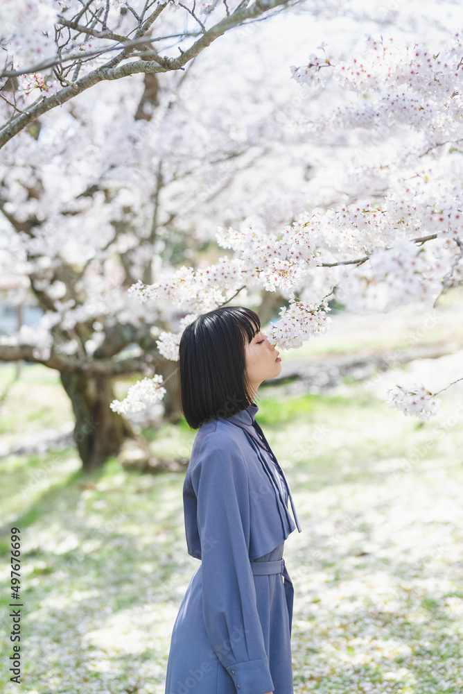 桜満開の中を散策する女性 桜満開の中を散策する女性