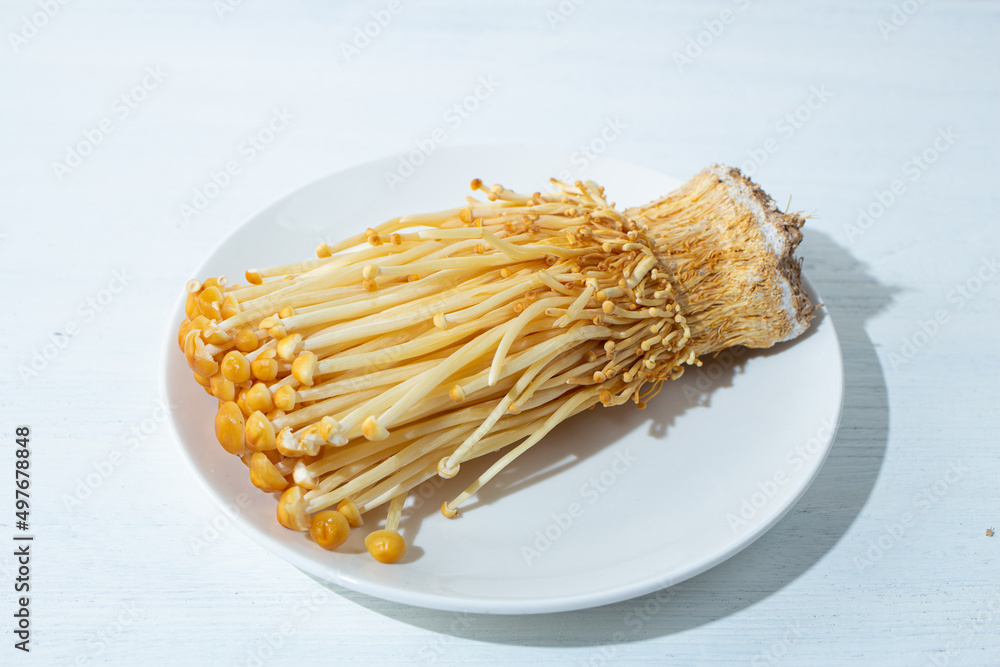 とらまき茸（とらまきたけ）、キノコの一種、えのきだけの原種に近く、茶色いきのこ）、日本産