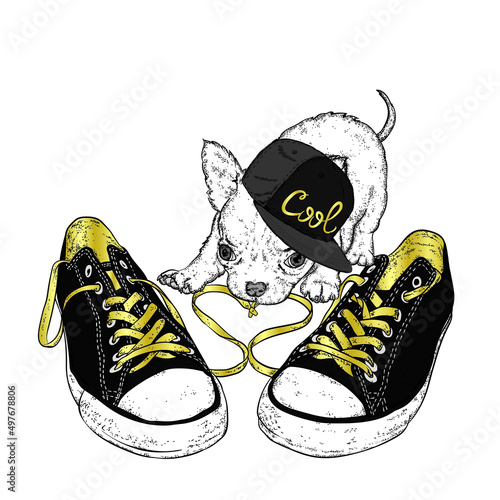 pair of shoes