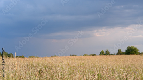 Beautiful landscape field on a summer day. Rural scene