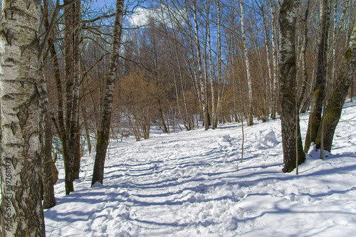The path on the slope of the ravine in the snowy forest.