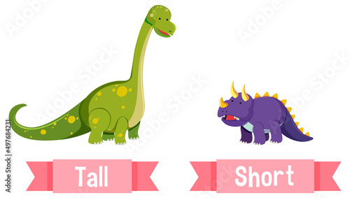 Opposite English Words tall and short