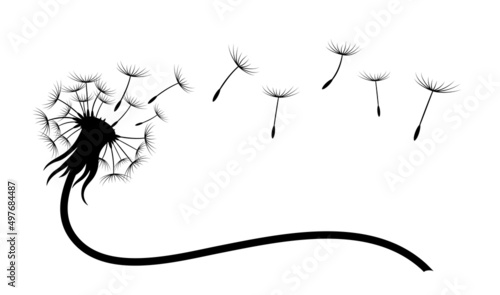The symbol of field dandelion flower with flying seeds.