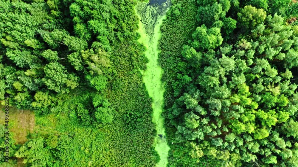 Stunning river and green algae in summer. Stunning river and green algae in summer.