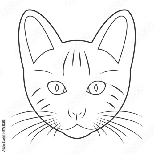 Cat face coloring book. Vector illustration