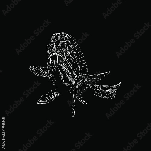 fangtooth fish illustration isolated on black background