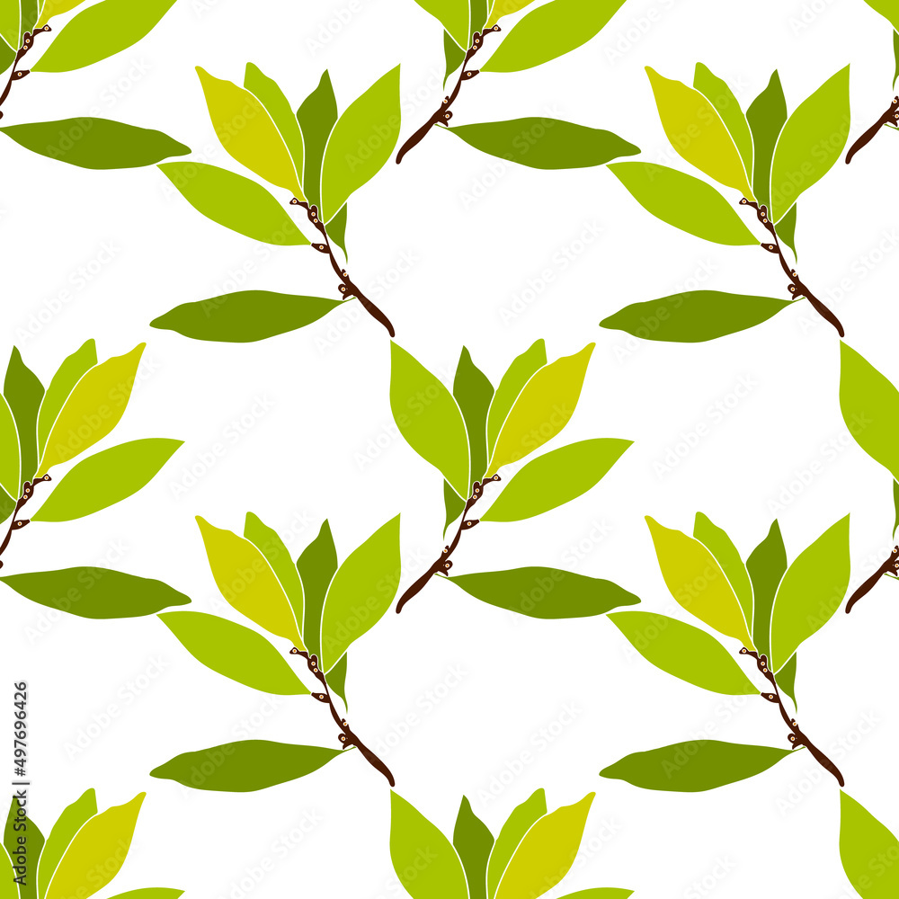 Pattern seamless Tree laurel.Image on white and colored background.