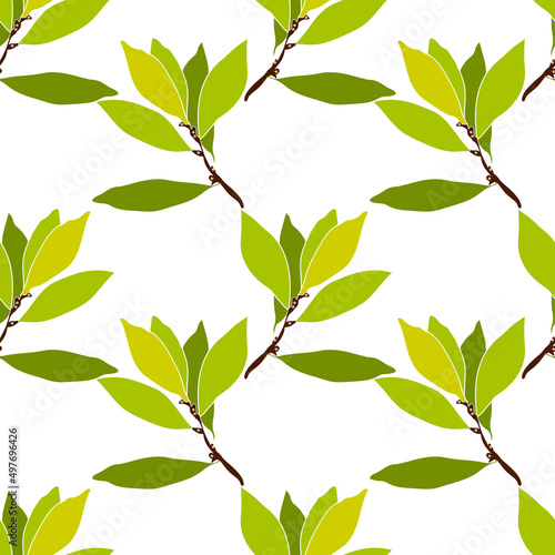 Pattern seamless Tree laurel.Image on white and colored background.