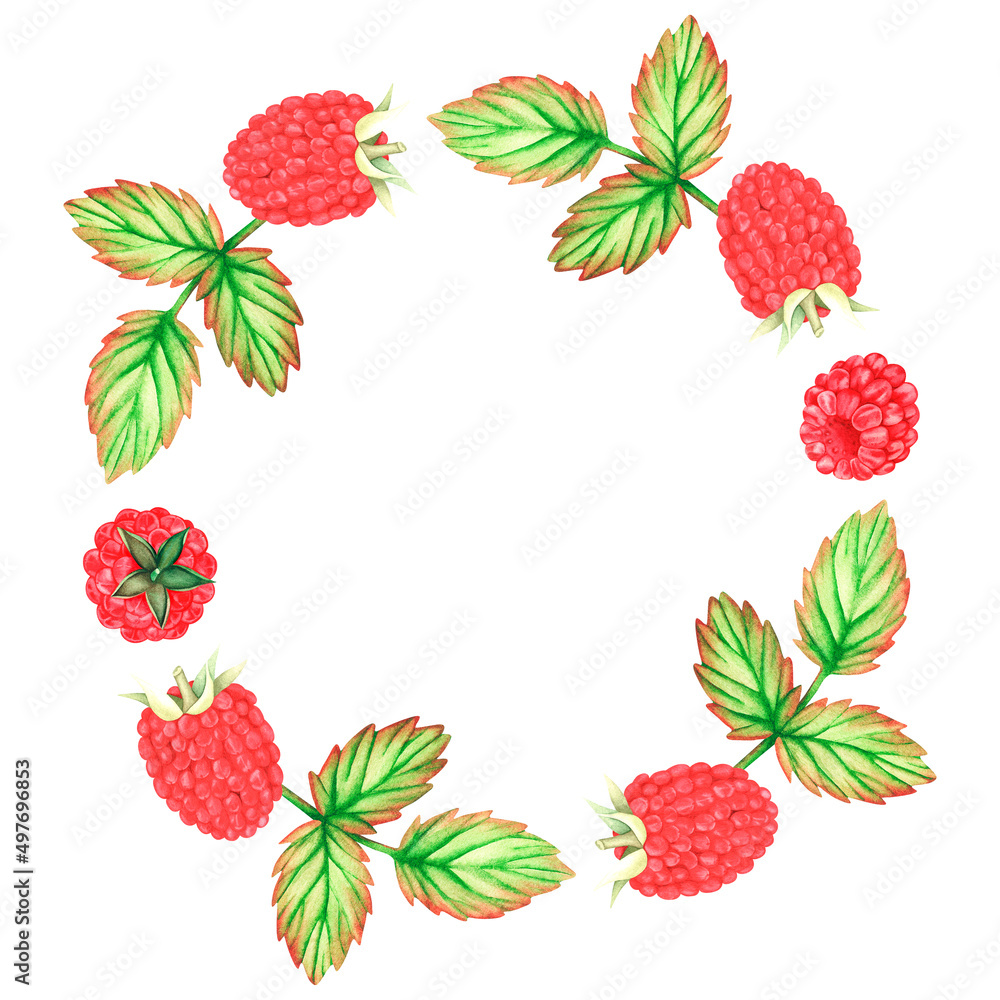 Raspberry wreath. Watercolor illustration. Isolated on a white background. For design. Raspberry wreath. Watercolor illustration. Isolated on a white background. For design.