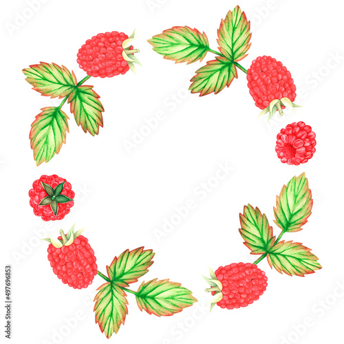 Raspberry wreath. Watercolor illustration. Isolated on a white background. For design.