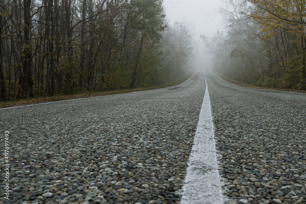 An asphalt road with a straight, solid white line runs off into the distance through an autumn foggy forest. An enigmatic landscape. An asphalt road with a straight, solid white line runs off into the distance through an autumn foggy forest. An enigmatic landscape.