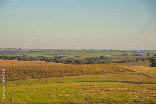 Paisagem rural no bioma pampa no sul do Brasil