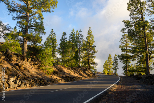 Asphalted road in countryside in Canary Islands