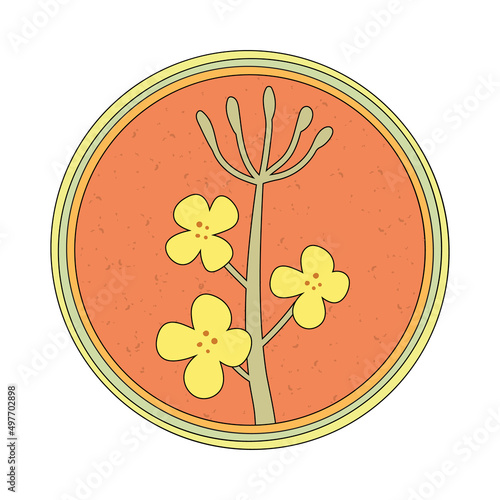 Hand-drawn yellow rapeseed flower. Blooming branch for postcards, logos. Flat retro style. Cartoon vector canola plant. All elements are isolated. Cute design for your icon, sticker, pin.
