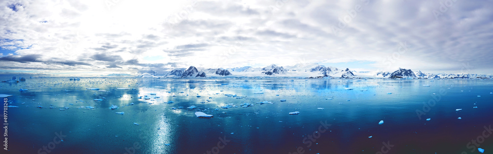 Antarctica Antarctica