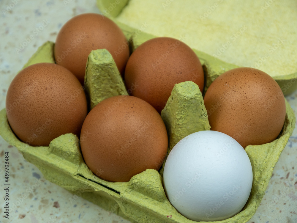 Organic chicken eggs in a egg carton. Close-up. Copy space. Organic chicken eggs in a egg carton. Close-up. Copy space.