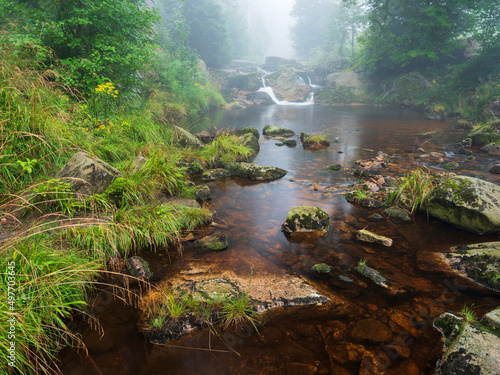 Klarer Wildbach fließt durch unberührten grünen Wald mit dichtem Nebel, Ilsetal, Nationalpark Harz	 photo