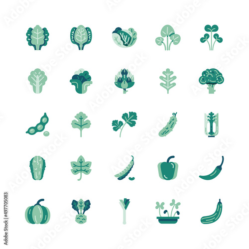 Bundle of Fruit berry vegetable food glyph flat vector set
