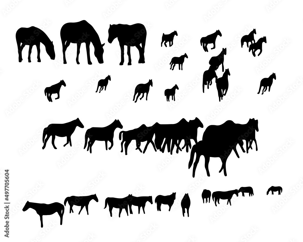 Set of horse silhouette in line art style.Horse vector by hand drawing.Horse tattoo on white background.Black and white horse illustration. Illustration of a herd of horses running in the meadow Set of horse silhouette in line art style.Horse vector by hand drawing.Horse tattoo on white background.Black and white horse illustration. Illustration of a herd of horses running in the meadow