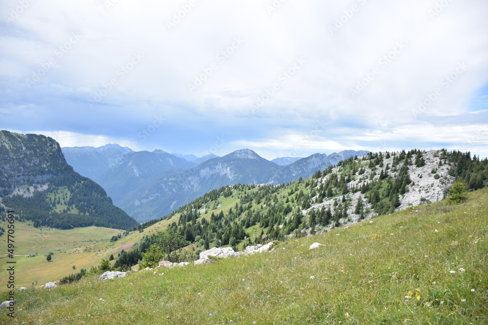 Fototapeta premium Plaines de montagne