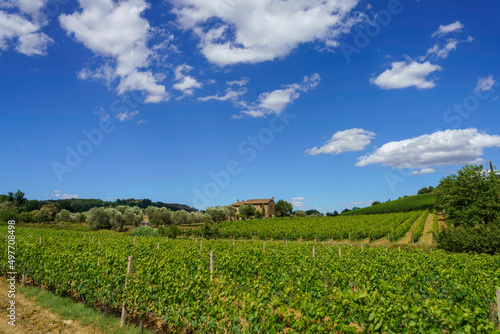 Rural landscape near Montalcino Siena  Tuscany