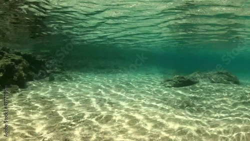 Wallpaper Mural Fish swimming in turquoise ocean waters. Torontodigital.ca