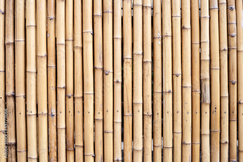 Fototapeta Naklejka Na Ścianę i Meble -  Bamboo wall or Bamboo fence texture background.