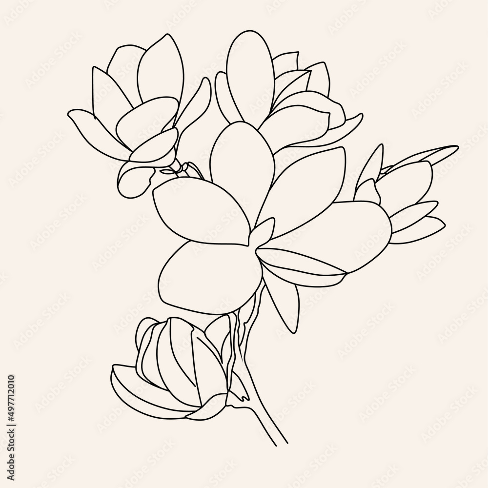 Fototapeta premium Line Art flowers plants. Botanical poster. Contemporary one-line art, aesthetic contour. Ideal for home decor, wall art posters or t-shirt printing, mobile case. Continuous drawing o