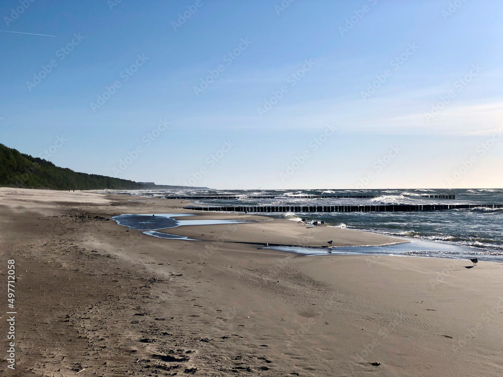 beach in the morning