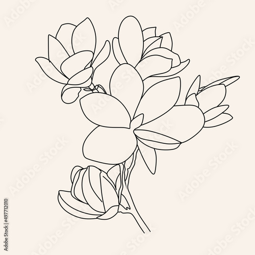 Line Art flowers plants. Botanical poster. Contemporary one-line art, aesthetic contour. Ideal for home decor, wall art posters or t-shirt printing, mobile case. Continuous drawing o