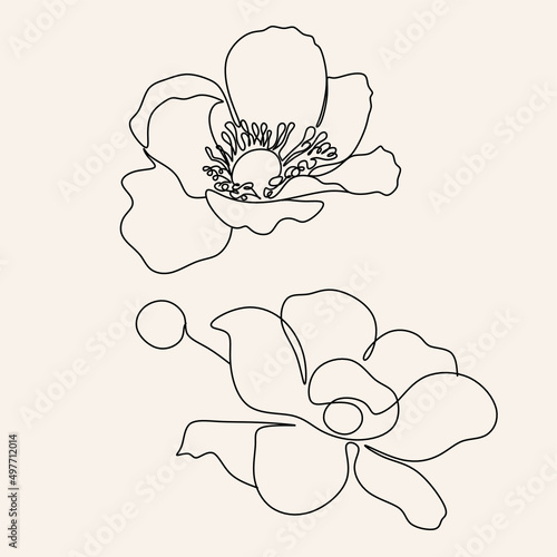 Line Art flowers plants. Botanical poster. Contemporary one-line art, aesthetic contour. Ideal for home decor, wall art posters or t-shirt printing, mobile case. Continuous drawing o