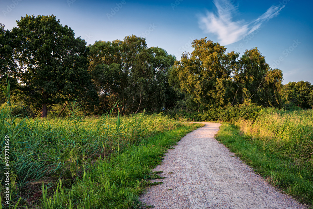 Landschaft am Barther Bodden, Halbinsel Fischland-Darß, Mecklenburg-Vorpommern, Deutschland