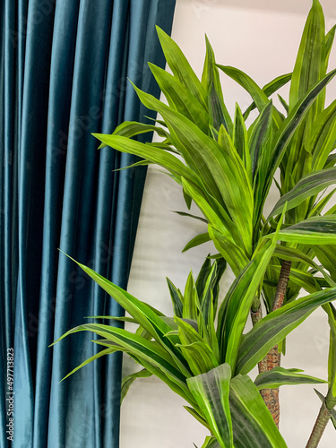 Curtain with folds close-up