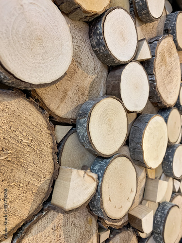 A cut of a sawn tree, the texture of a tree