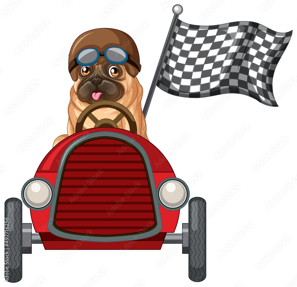 Funny dog cartoon character driving car on white background