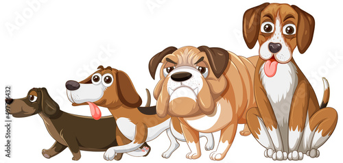 A group of different dog on white background