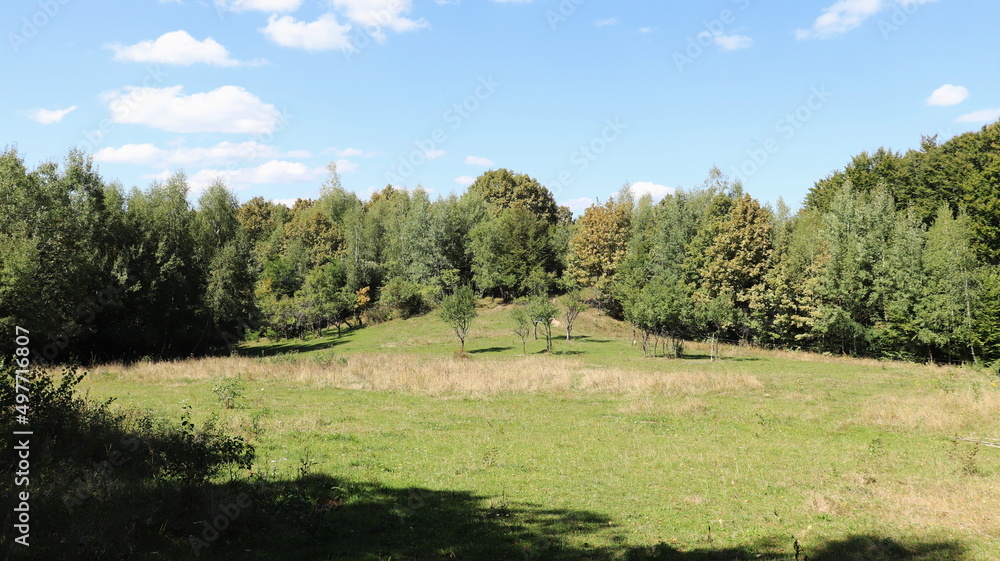 Silvania, a forrested world in Romania