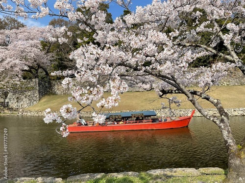 blossom in spring
hikone castle 
tree 
japanese cherry blossom 
sakura 
castle 
riverside 
river 
blue sky 
sky 
ship 
桜
舟
城
彦根城
木
川
川沿い
青空
空