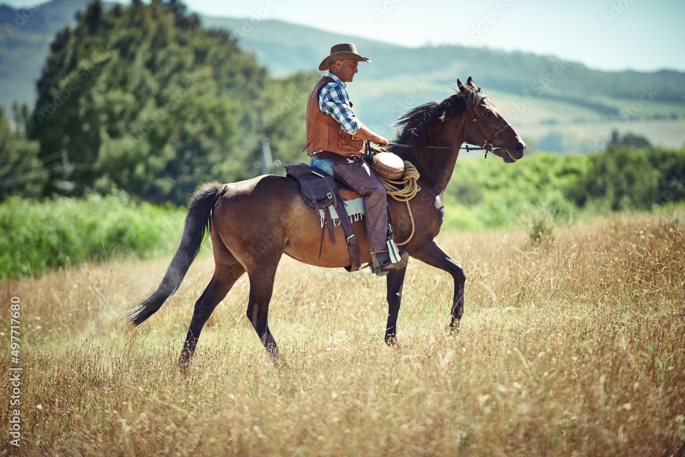 Yeeha. Shot of a mature man riding a horse in a field. Yeeha. Shot of a mature man riding a horse in a field.